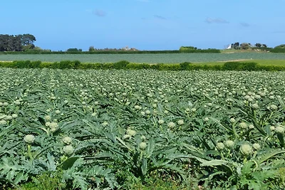 Ferienhaus in der Bretagne mit Meerblick