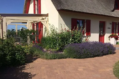 Ferienhaus in Zierow mit Schwimmbecken