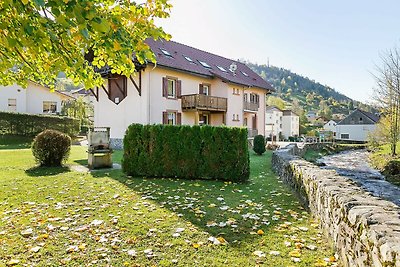 Geräumiges Appartement in La Bresse mit...