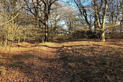 6 Personen Ferienhaus in Roslev