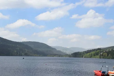 Casa vacanze Vacanza di relax Titisee-Neustadt