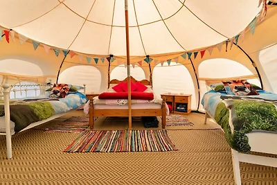 Glampingzelt in Devon nahe Strände