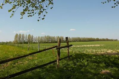 Jezioro Amsee w Lexow Manor
