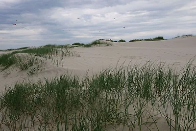 6 persoons vakantie huis in Fanø-By Traum