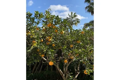 Casa Mondrago Melani