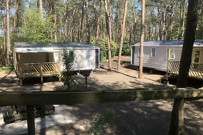 Geräumiges Chalet für 6 Personen in Antwerpen