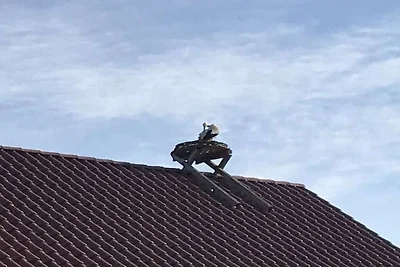 Kuća za odmor Dopust za oporavak Grebin