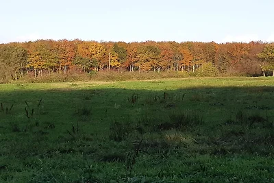 6 persone case ad Toftlund