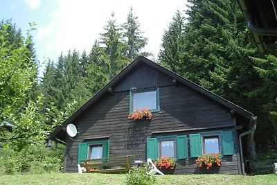 Gemütliches Ferienhaus mit Sauna in Sankt...