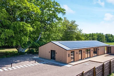 14 persoons vakantie huis in Glesborg-By...