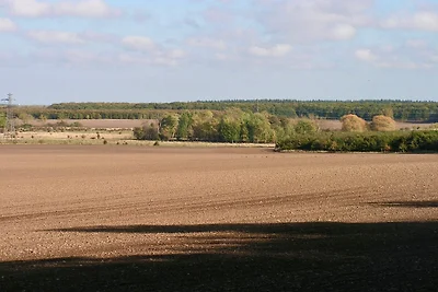 6 persone case ad Taastrup-By Traum