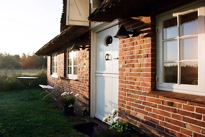 Ferienhaus mit 1 Schlafzimmer