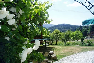 Do Sonnenhügel Waldheimat