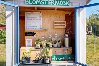 5 Sterne Ferienhaus in BORGHOLM-By Traum
