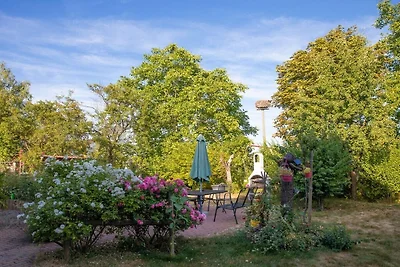 - Huis op de weide || Venningen