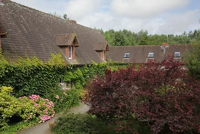 Schönes Ferienhaus mit Pool