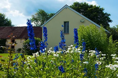 Ferienwohnung mit 2 Schlafzimmer