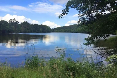Gemütliche Ferienwohnung im Harz