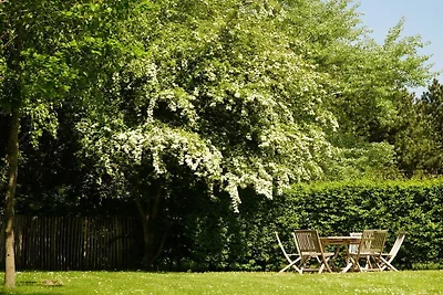 Villa in RZ Kamperland mit Schwimmbecken