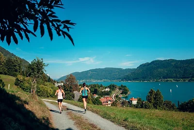 Panorama Apartment am Ossiacher See