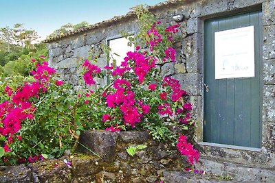 Ferienhaus, Praínha de Baixo, Pico, Azoren