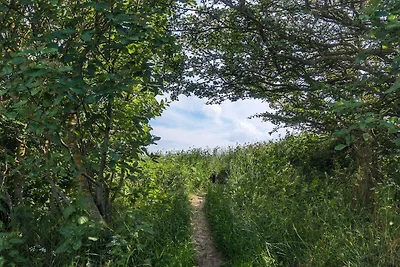 6 Personen Ferienhaus in Humble-By Traum