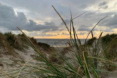 Modernes Strandhaus -- By Traum...