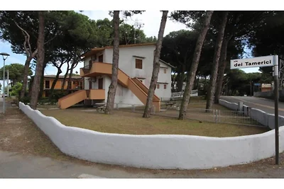 Ruhige Dreifamilienhauswohnung zwei...