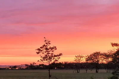 4 persoons vakantie huis in Oksbøl-By Traum