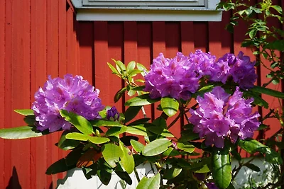 5 Personen vakantie huis in Tanumshede