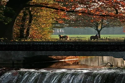 Chalet am Parkteich in den Niederlanden