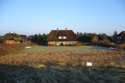 Objekt 38 || Nieblum