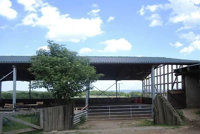 Vakantiehuis in Roes met zwembad