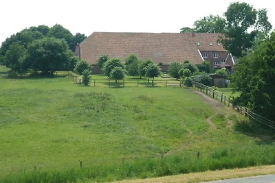 Hof Homfeld - Wohnung 1