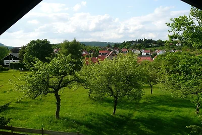 Splendida casa vacanze a Waltershausen con...