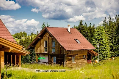 Almhütte Weinebene mit Sauna auf der...