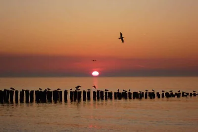 DO13 Gezellig vakantiehuis Domburg