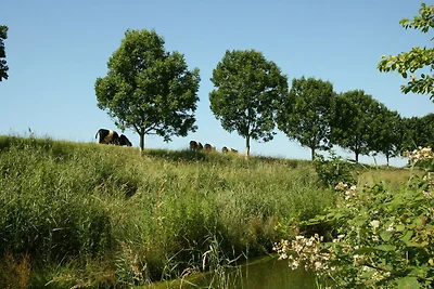 Ferienhaus in Schoondijke