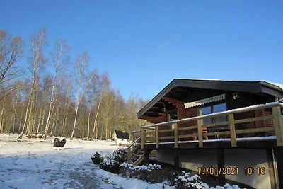 Chalet in Tenneville in der Nהhe des...