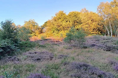 8 persone case ad Gjern