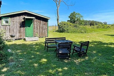 4 Personen Ferienhaus in BORGHOLM