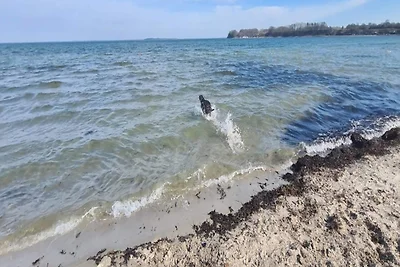 4 Personen Ferienpark haus in Hejls
