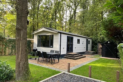 Schönes Chalet in Drenthe mit...