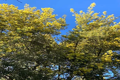 3 Zimmer für 4 Personen