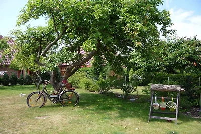 Ferienhaus mit 2 Schlafzimmer