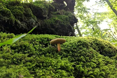 Luxus-Poolvilla in Lohals -- By Traum...