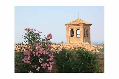 Villa Pesce, Mombaruzzo