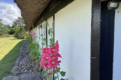 4 Sterne Ferienhaus in Læsø