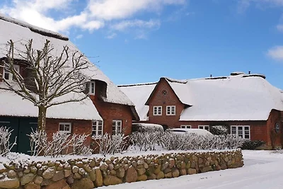 Ferienhaus mit 3 Schlafzimmer