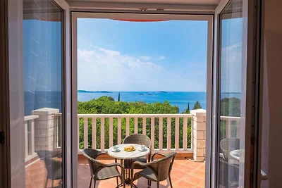 Villa Panorama Dubrovnik (S1)